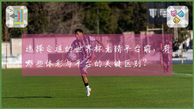 选择合适的世界杯竞猜平台前，有哪些体彩与平台的关键区别？