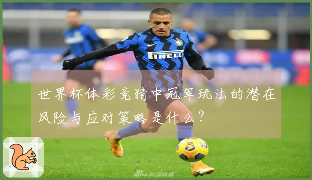 世界杯体彩竞猜中冠军玩法的潜在风险与应对策略是什么？