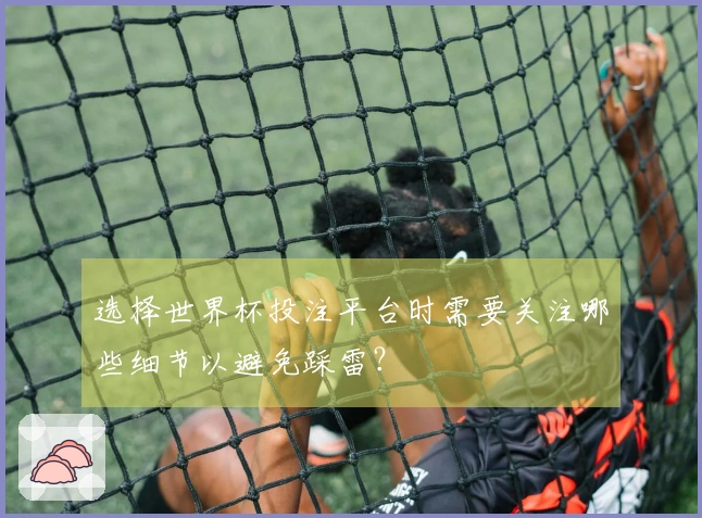 选择世界杯投注平台时需要关注哪些细节以避免踩雷？
