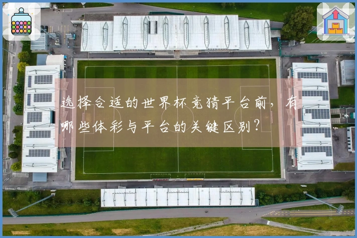 选择合适的世界杯竞猜平台前，有哪些体彩与平台的关键区别？