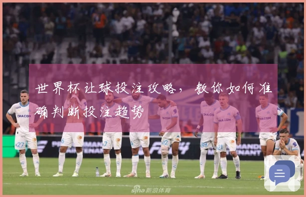 世界杯让球投注攻略，教你如何准确判断投注趋势