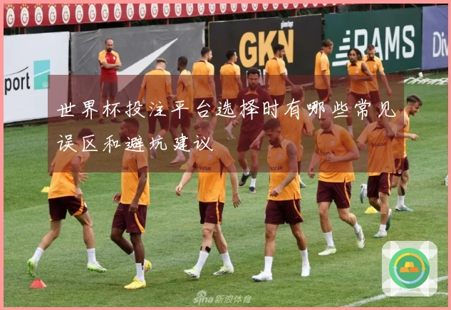 世界杯投注平台选择时有哪些常见误区和避坑建议