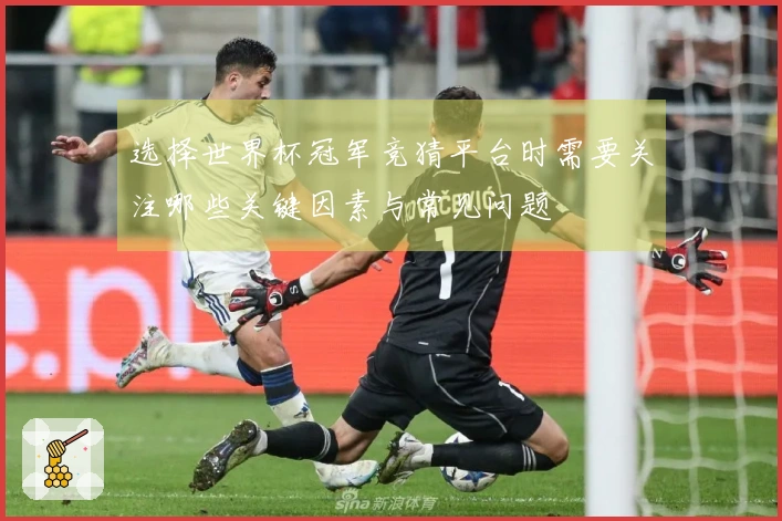 选择世界杯冠军竞猜平台时需要关注哪些关键因素与常见问题