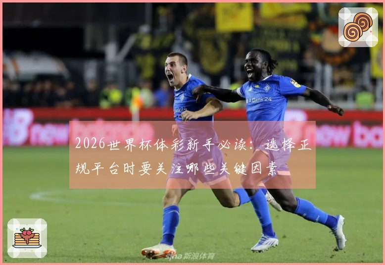 2026世界杯体彩新手必读：选择正规平台时要关注哪些关键因素