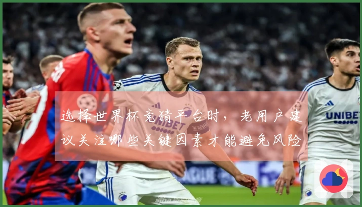 选择世界杯竞猜平台时，老用户建议关注哪些关键因素才能避免风险