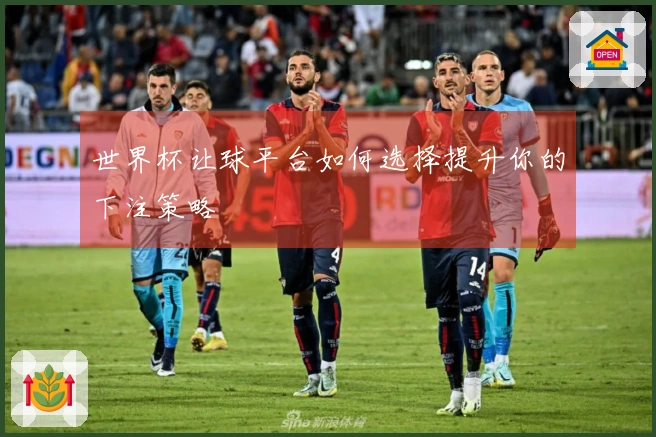 世界杯让球平台如何选择提升你的下注策略