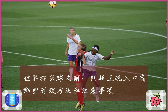 世界杯买球之前，判断正规入口有哪些有效方法和注意事项