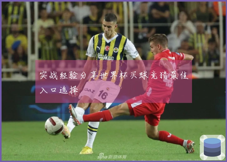 实战经验分享世界杯买球竞猜最佳入口选择