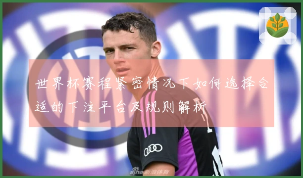 世界杯赛程紧密情况下如何选择合适的下注平台及规则解析