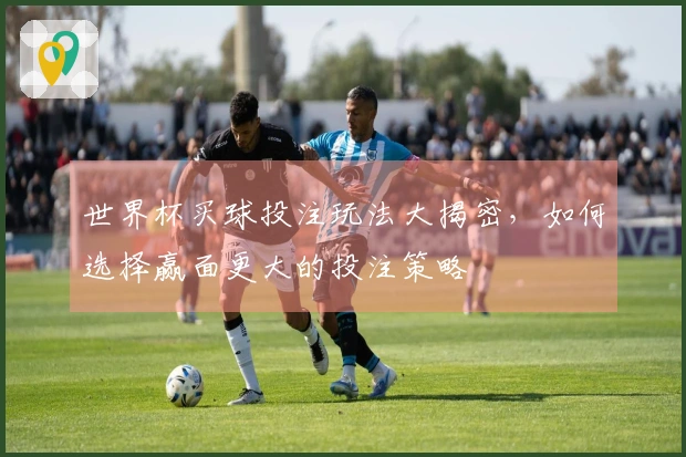 世界杯买球投注玩法大揭密，如何选择赢面更大的投注策略