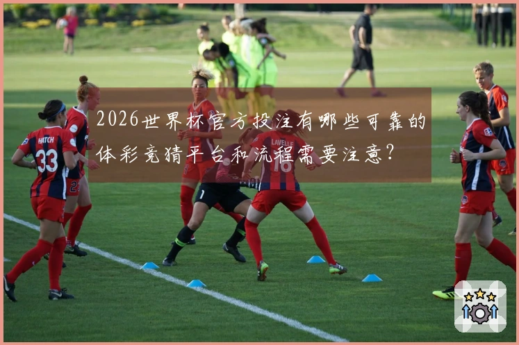 2026世界杯官方投注有哪些可靠的体彩竞猜平台和流程需要注意？