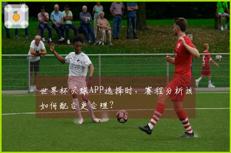 世界杯买球APP选择时，赛程分析该如何配合更合理？