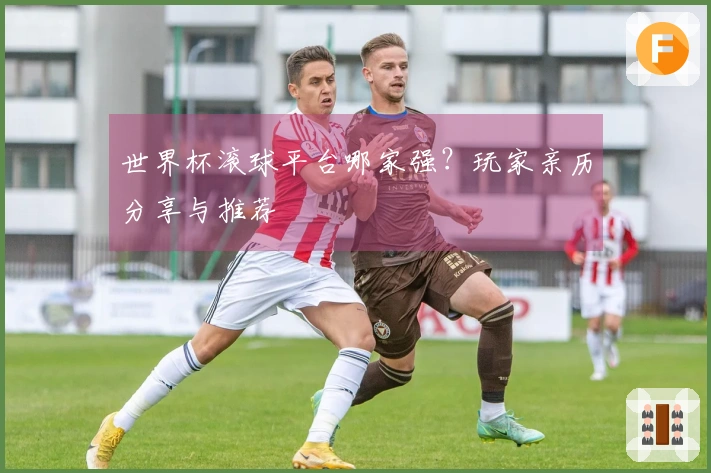 世界杯滚球平台哪家强？玩家亲历分享与推荐