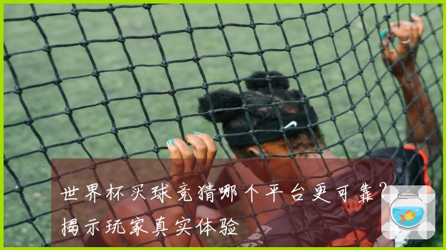 世界杯买球竞猜哪个平台更可靠？揭示玩家真实体验