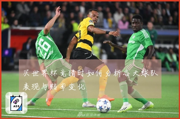 买世界杯竞猜时如何分析各大球队表现与赔率变化