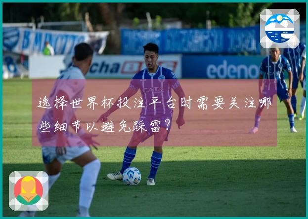 选择世界杯投注平台时需要关注哪些细节以避免踩雷？
