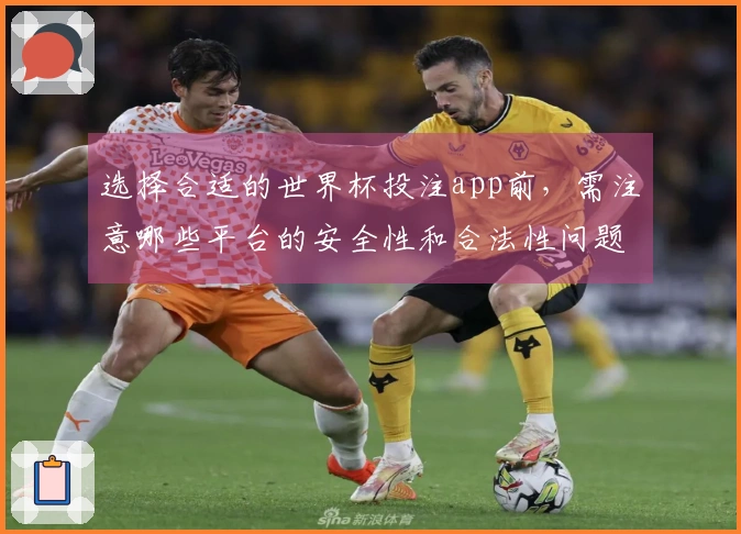 选择合适的世界杯投注app前，需注意哪些平台的安全性和合法性问题？