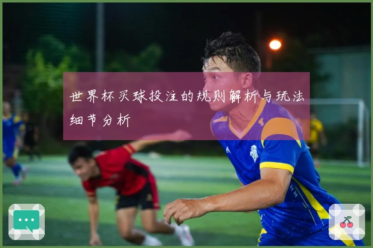 世界杯买球投注的规则解析与玩法细节分析