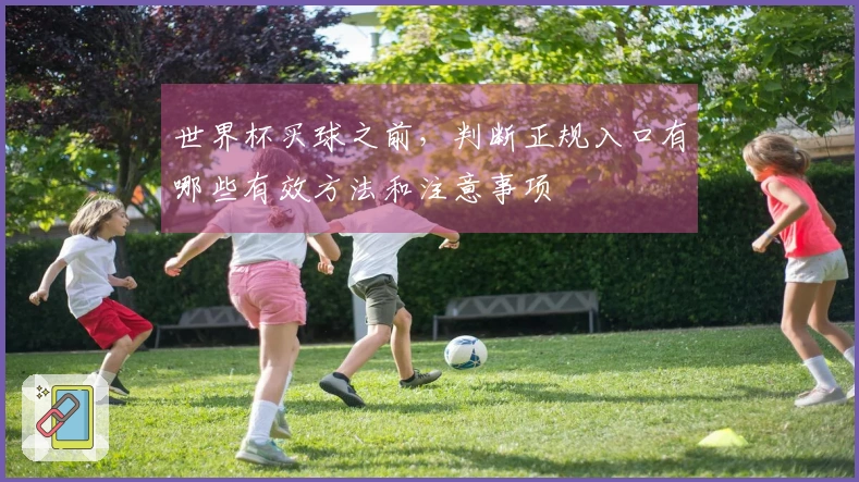 世界杯买球之前，判断正规入口有哪些有效方法和注意事项