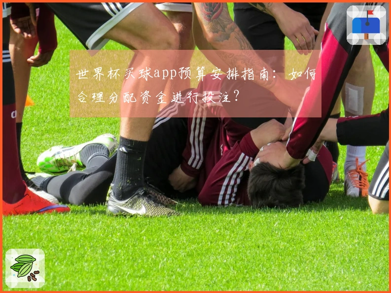 世界杯买球app预算安排指南：如何合理分配资金进行投注？