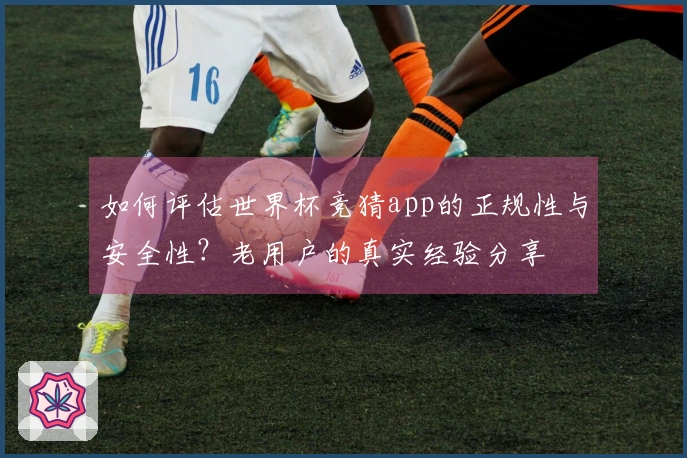 如何评估世界杯竞猜app的正规性与安全性？老用户的真实经验分享