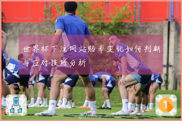 世界杯下注网站赔率变化如何判断与应对技巧分析