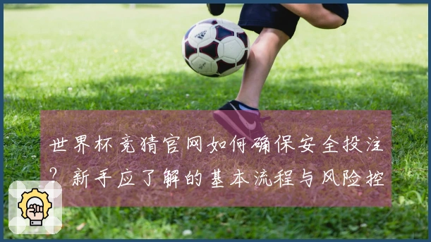 世界杯竞猜官网如何确保安全投注？新手应了解的基本流程与风险控制技巧