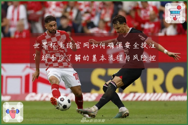 世界杯竞猜官网如何确保安全投注？新手应了解的基本流程与风险控制技巧