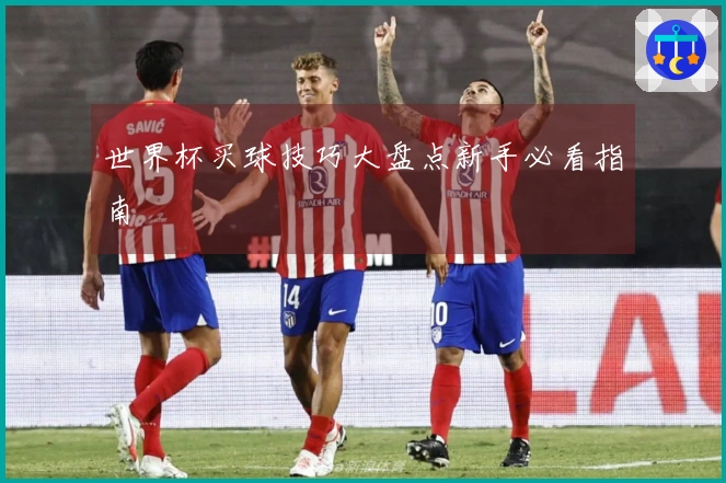 世界杯买球技巧大盘点新手必看指南