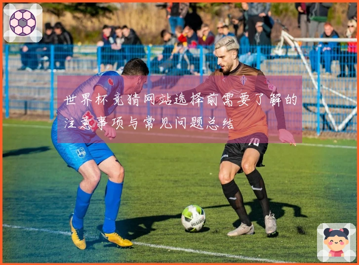 世界杯竞猜网站选择前需要了解的注意事项与常见问题总结