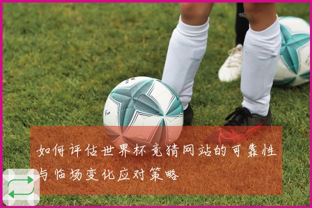 如何评估世界杯竞猜网站的可靠性与临场变化应对策略