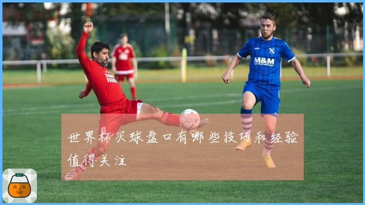 世界杯买球盘口有哪些技巧和经验值得关注