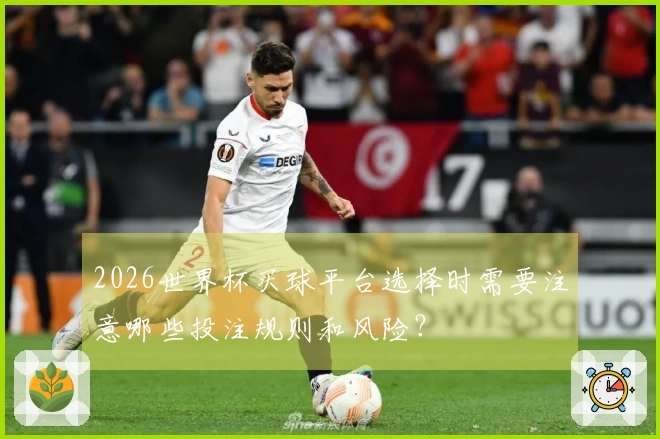 2026世界杯买球平台选择时需要注意哪些投注规则和风险？