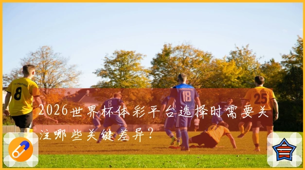 2026世界杯体彩平台选择时需要关注哪些关键差异？
