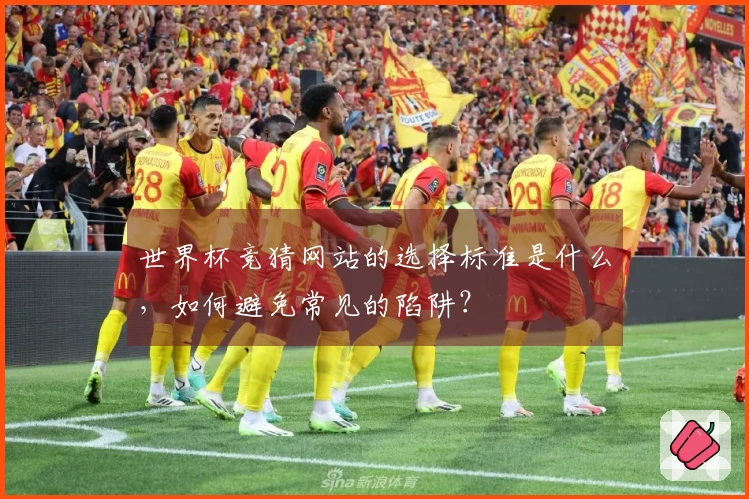 世界杯竞猜网站的选择标准是什么，如何避免常见的陷阱？