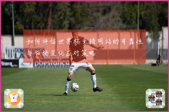 如何评估世界杯竞猜网站的可靠性与临场变化应对策略