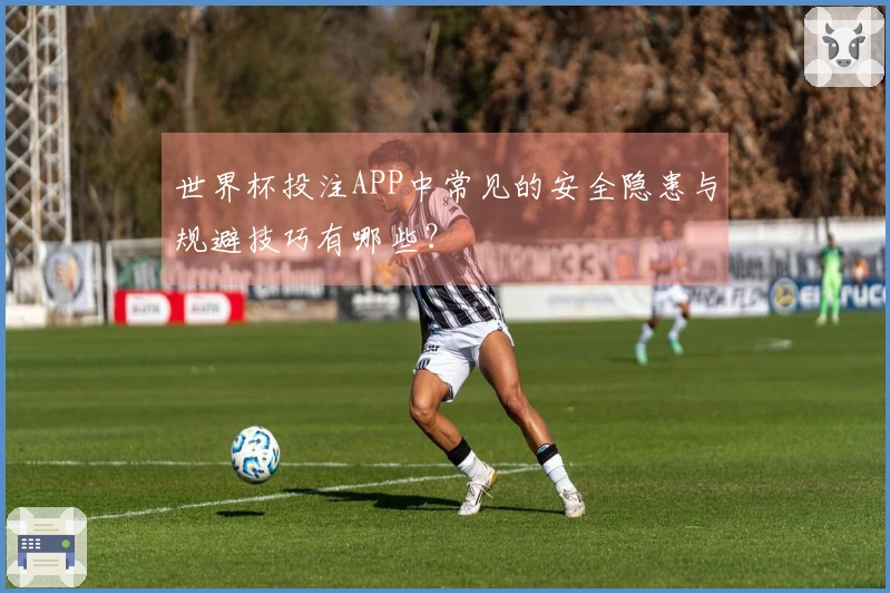 世界杯投注APP中常见的安全隐患与规避技巧有哪些？