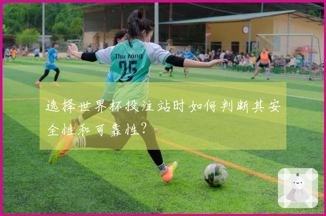 选择世界杯投注站时如何判断其安全性和可靠性？