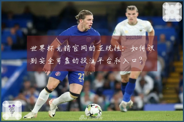 世界杯竞猜官网的正规性：如何识别安全可靠的投注平台和入口？